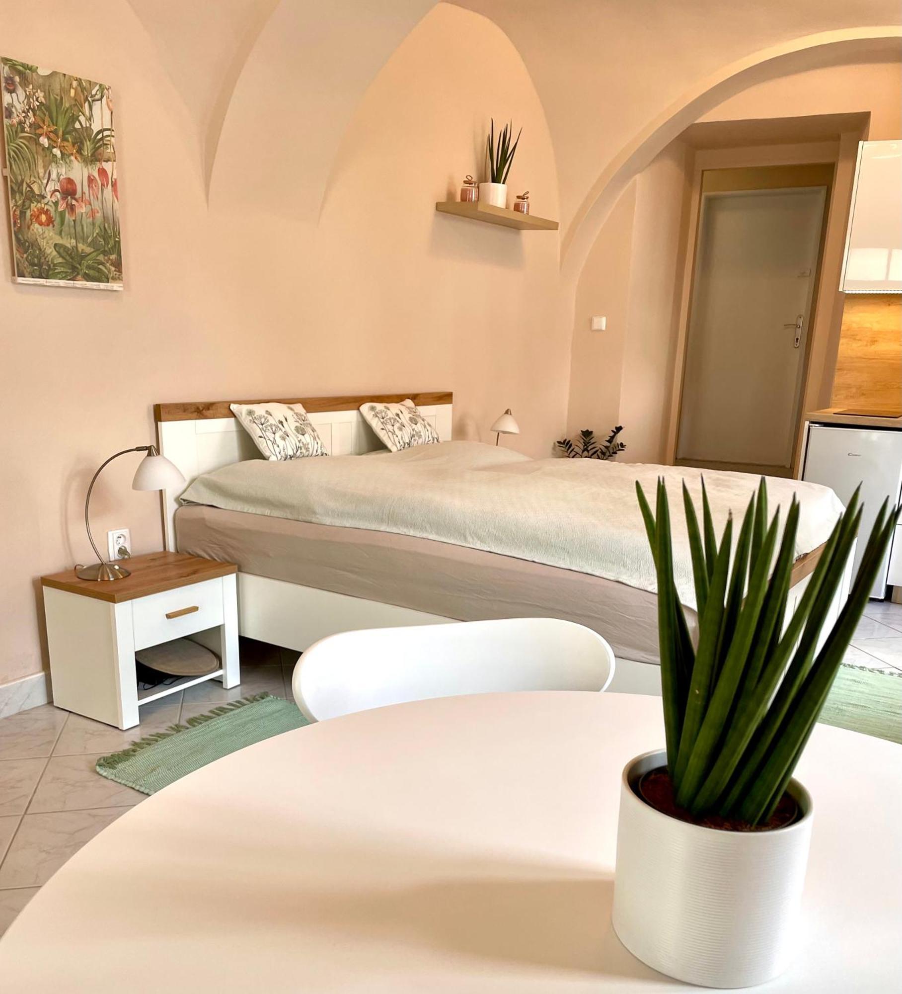 Apartman Dominikanska Litoměřice Εξωτερικό φωτογραφία